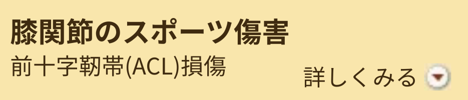 膝関節のスポーツ傷害 (2) 膝関節のスポーツ傷害 (2)